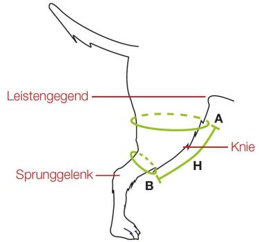 Kniebandage für Hunde bei Entzündungen - Balto Sport Agile Compression Wrap